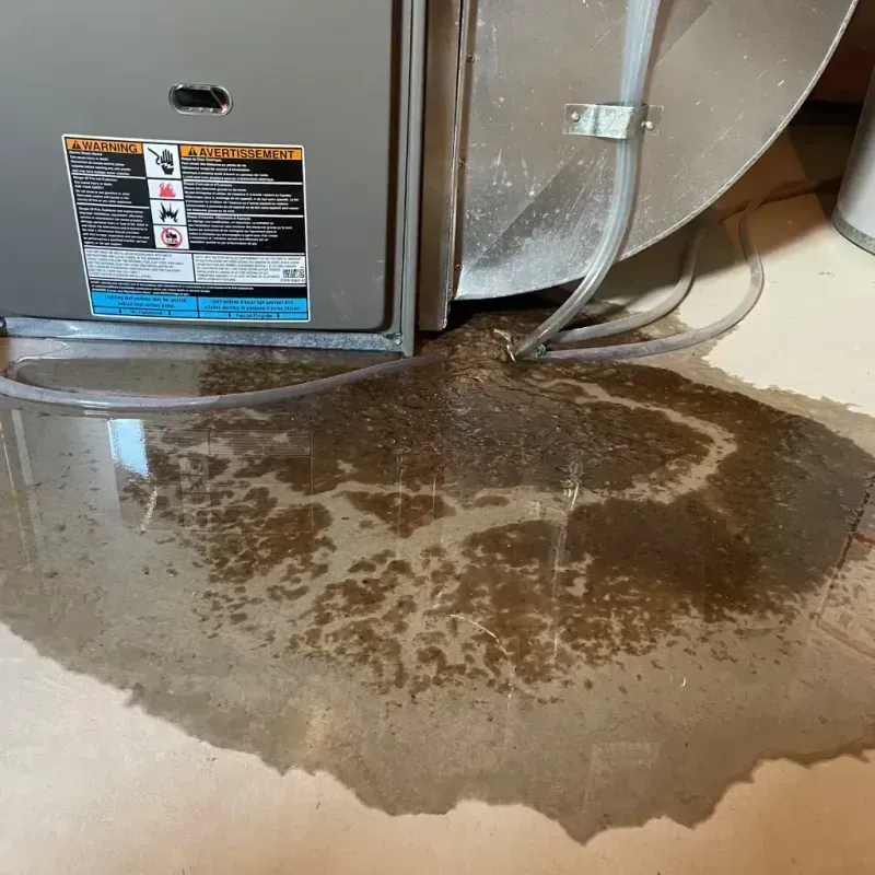 Appliance Leak Cleanup in Endicott, NY